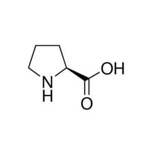 siq-008